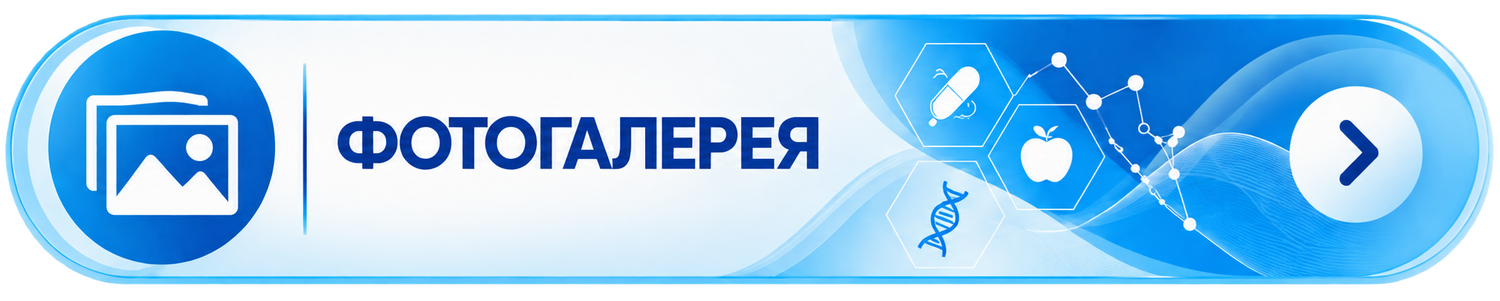 Фотогалерея